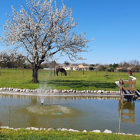 Domaine Christanna Bed and Breakfast Lisle-sur-Tarn Exteriör bild