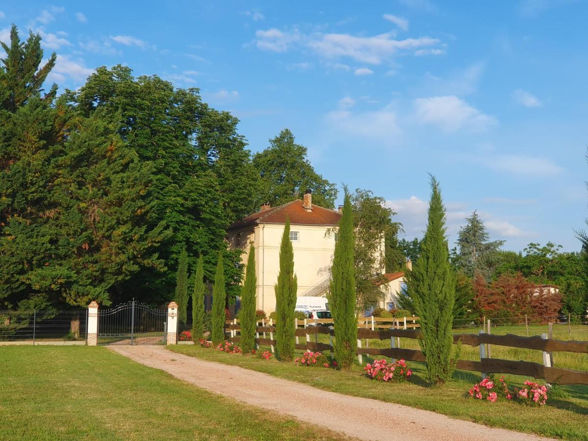 Domaine Christanna Bed and Breakfast Lisle-sur-Tarn Exteriör bild