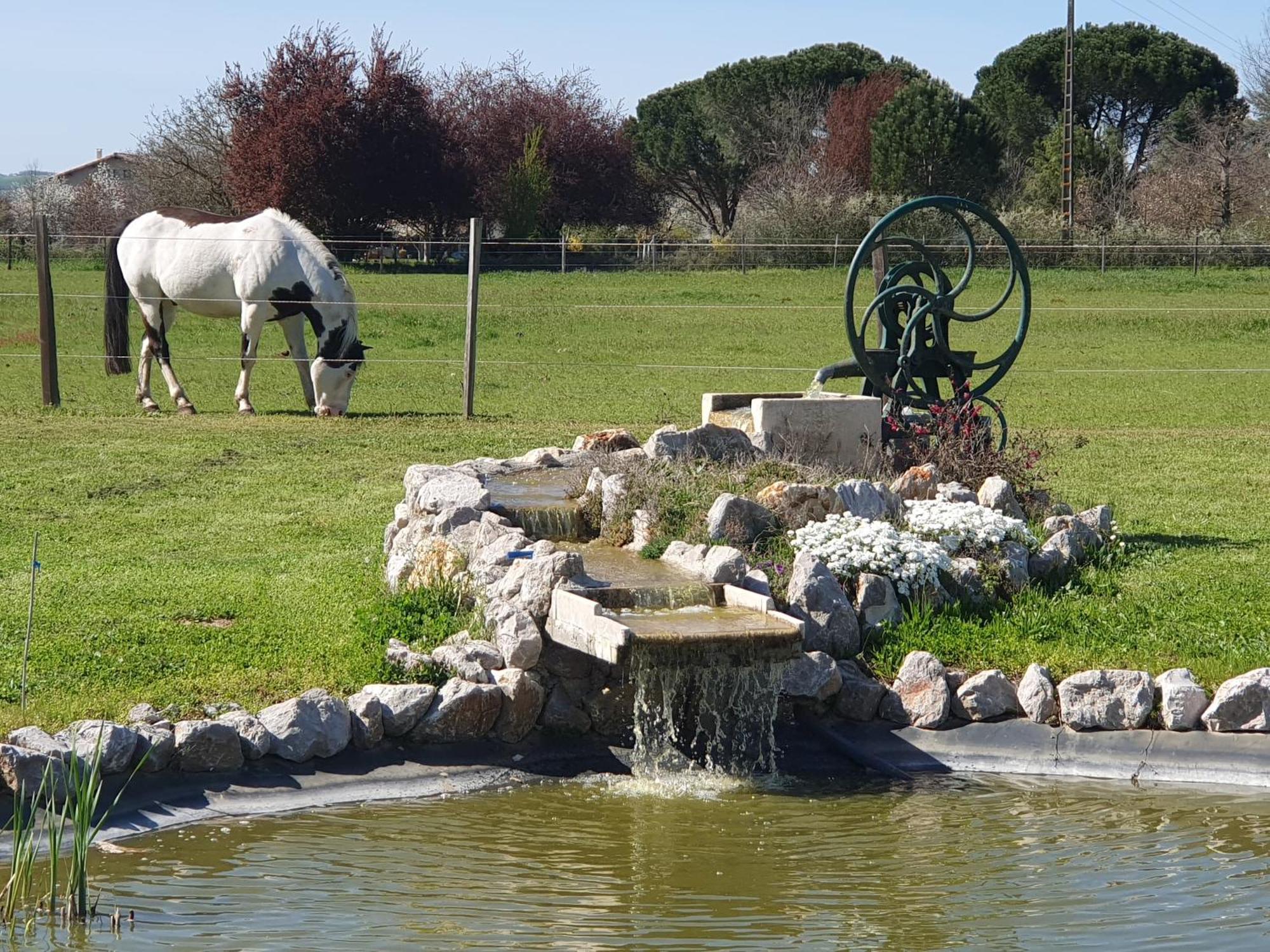 Domaine Christanna Bed and Breakfast Lisle-sur-Tarn Exteriör bild